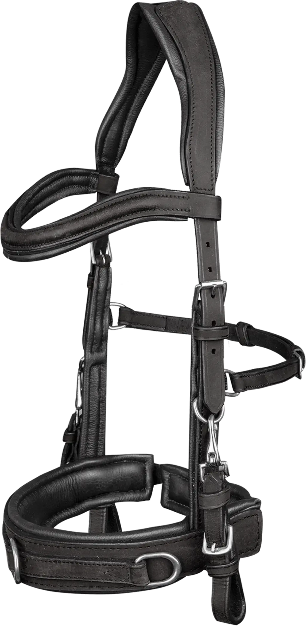 Le Nuove Iniziative Politiche di Capezzone e il Futuro dell’Italia