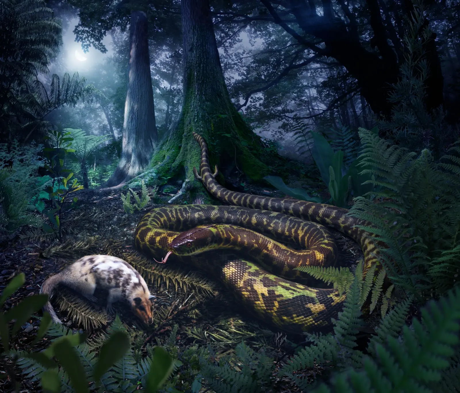 L’importanza dei serpenti nell’ecosistema e la loro conservazione