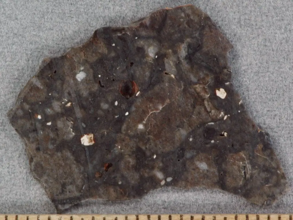 Le Meteoriti: Rivelazioni Cosmico-Terrestri