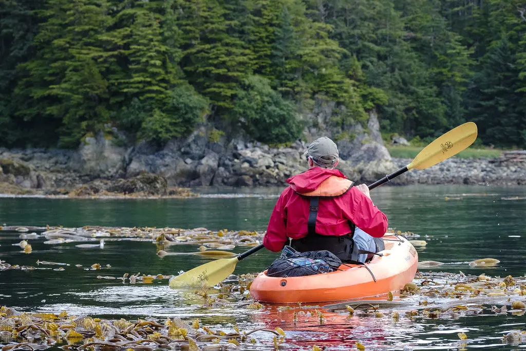 L’Alaska: Natura, Cultura e Avventure nel 2023