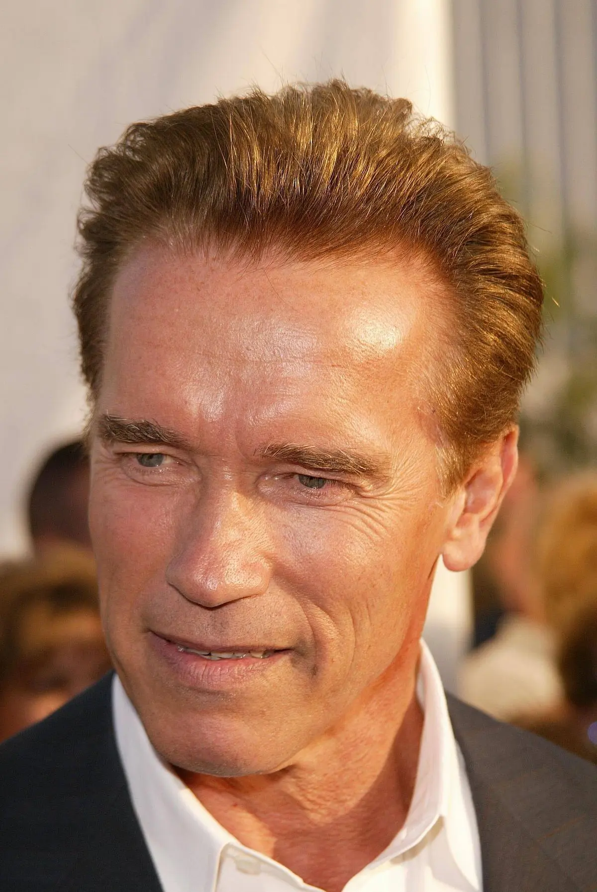Arnold Schwarzenegger: Icona del Cinema e della Politica