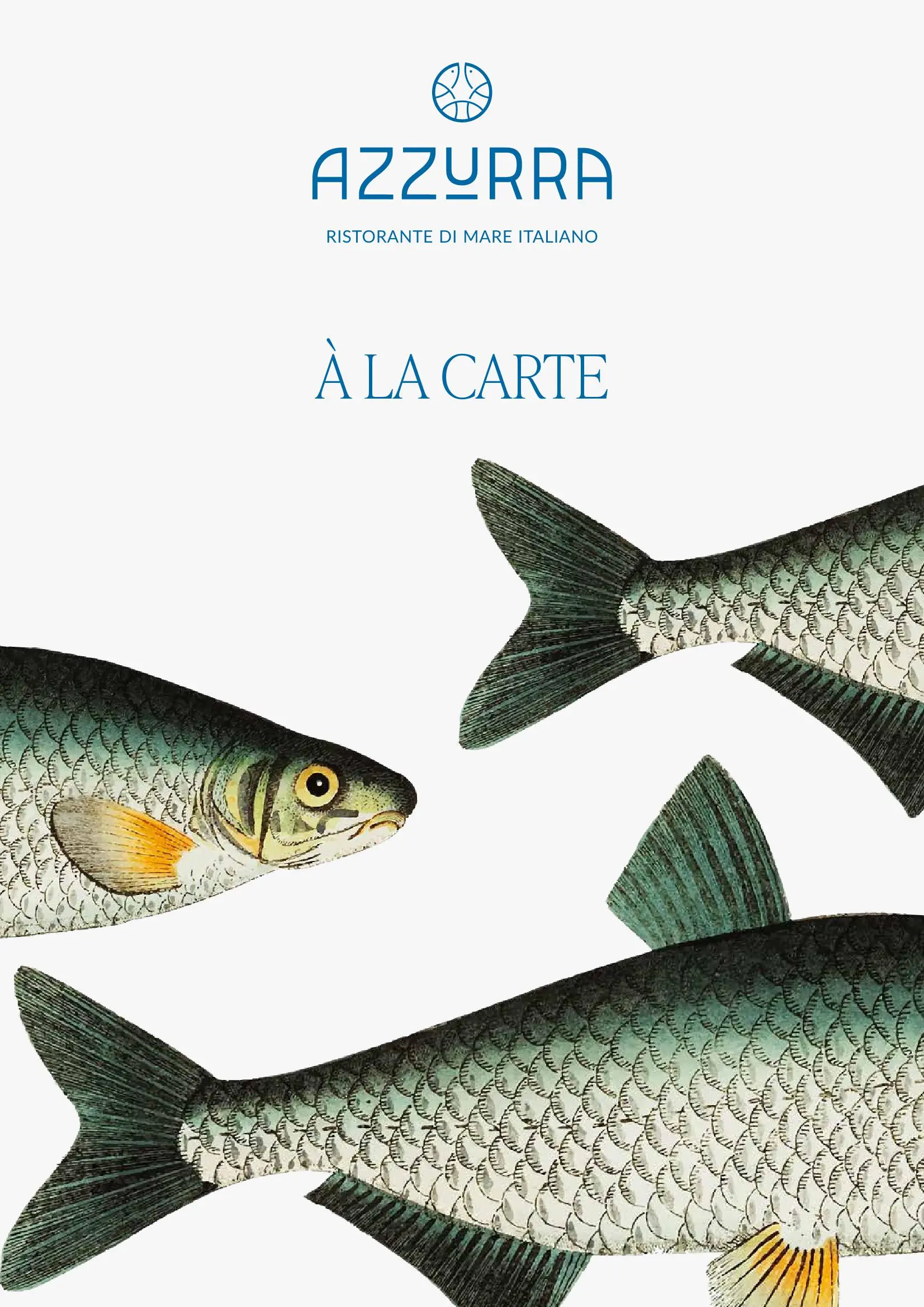 Esplorando Azzurra Ferretti: Innovazione e Qualità nella Nautica