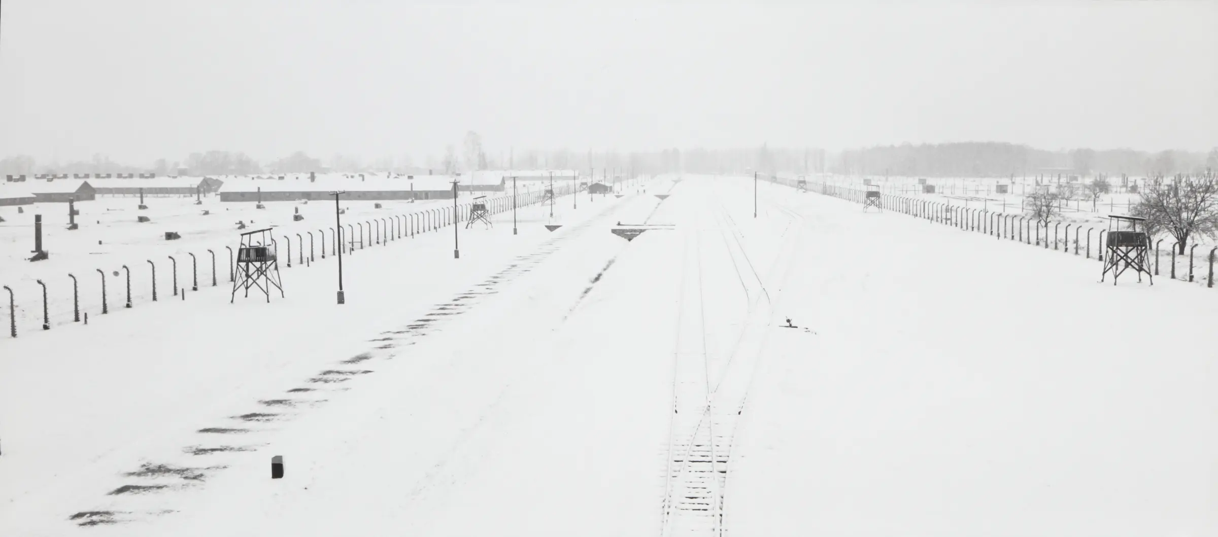 Il significato di Birkenau nella memoria storica image 1