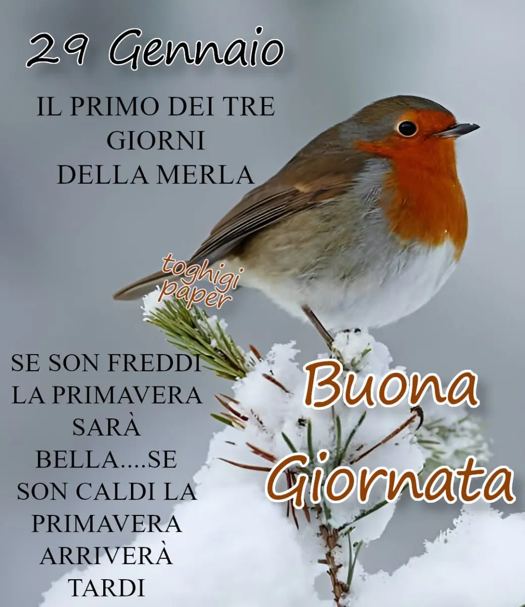 Buongiorno 29 gennaio 2026: Aggiornamenti e Eventi Importanti