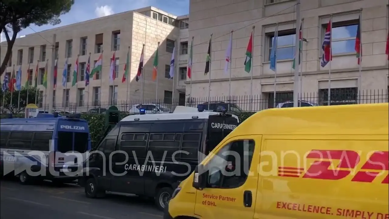 Il Ruolo dei Carabinieri in Israele nella Sicurezza Internazionale image 1