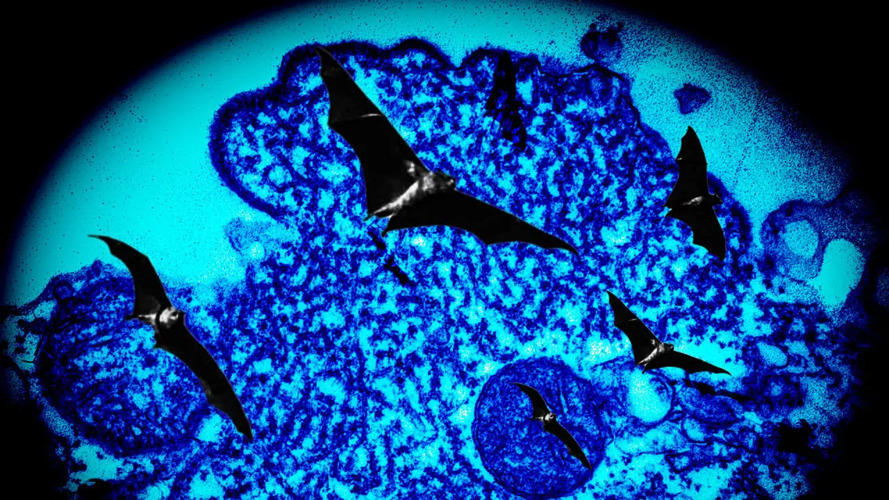 Il Virus Nipah: Un Rischio Emergente per la Salute Pubblica