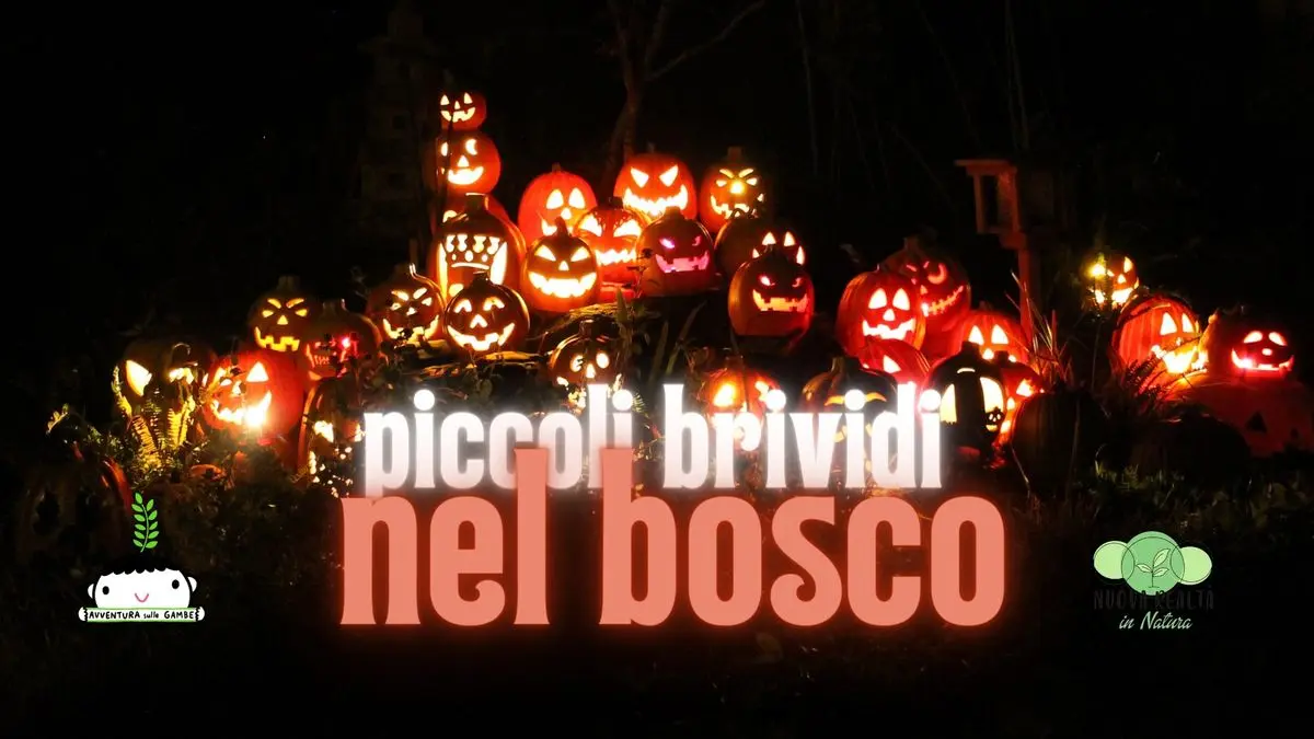 L’importanza dei Piccoli nella Società e nell’Economia