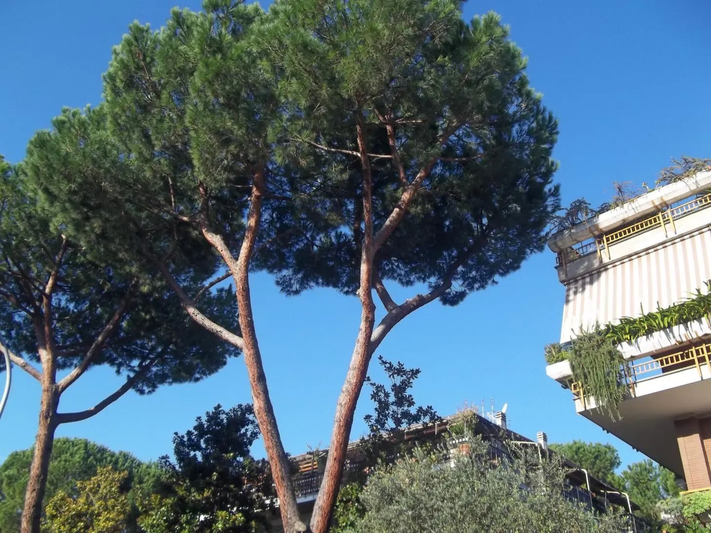 La Ripresa della Rotta Roma – Stoccarda