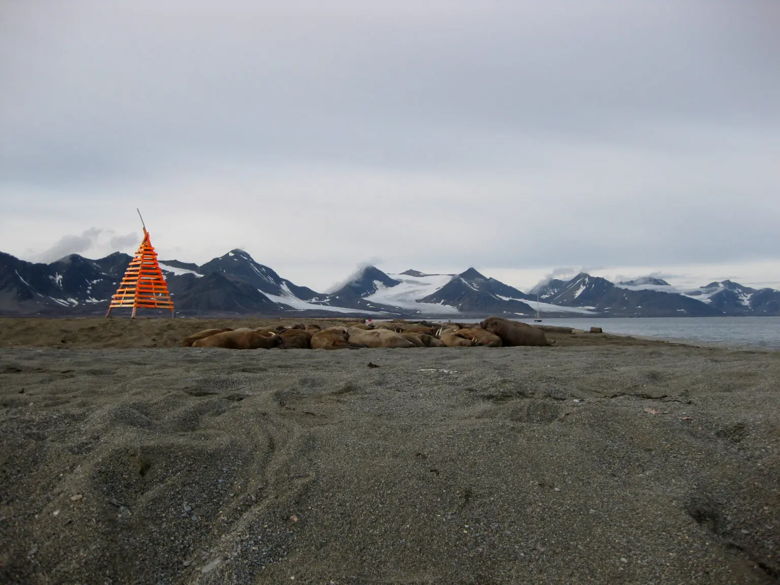 Svalbard: Il Cuore dell’Artico Norvegese