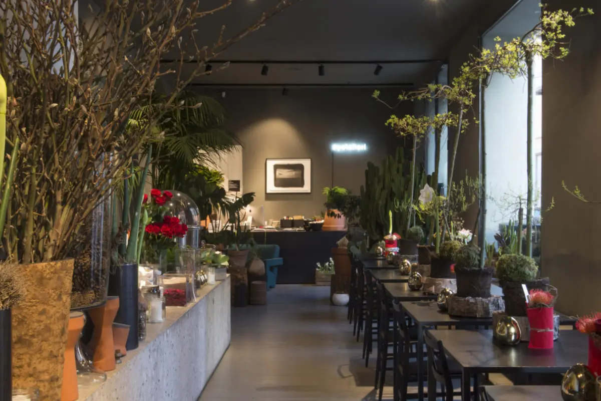 Un Bistrot tra i Fiori: Dove Gastronomia e Natura Si Incontrano