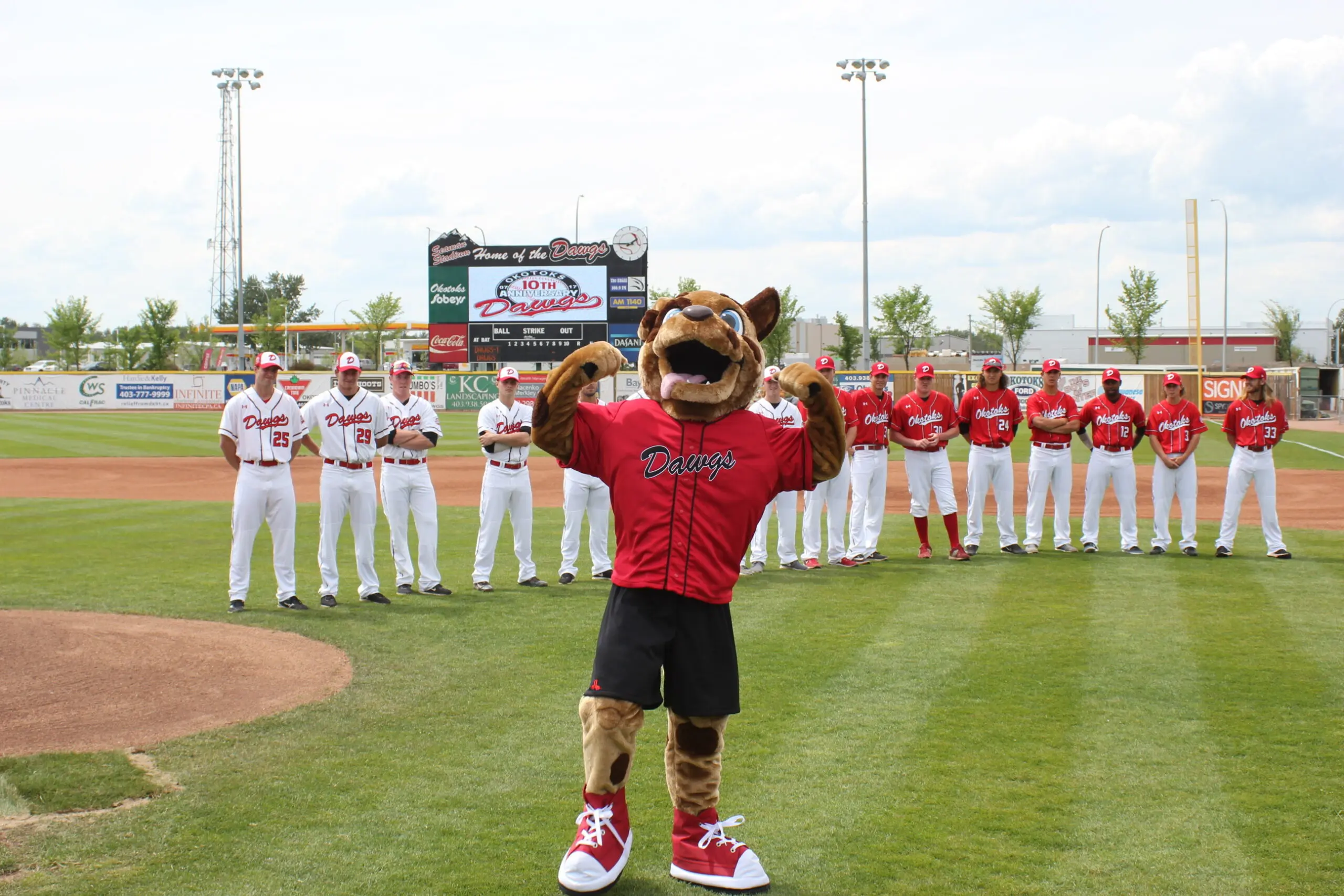 L’importanza di Alberta nel panorama canadese