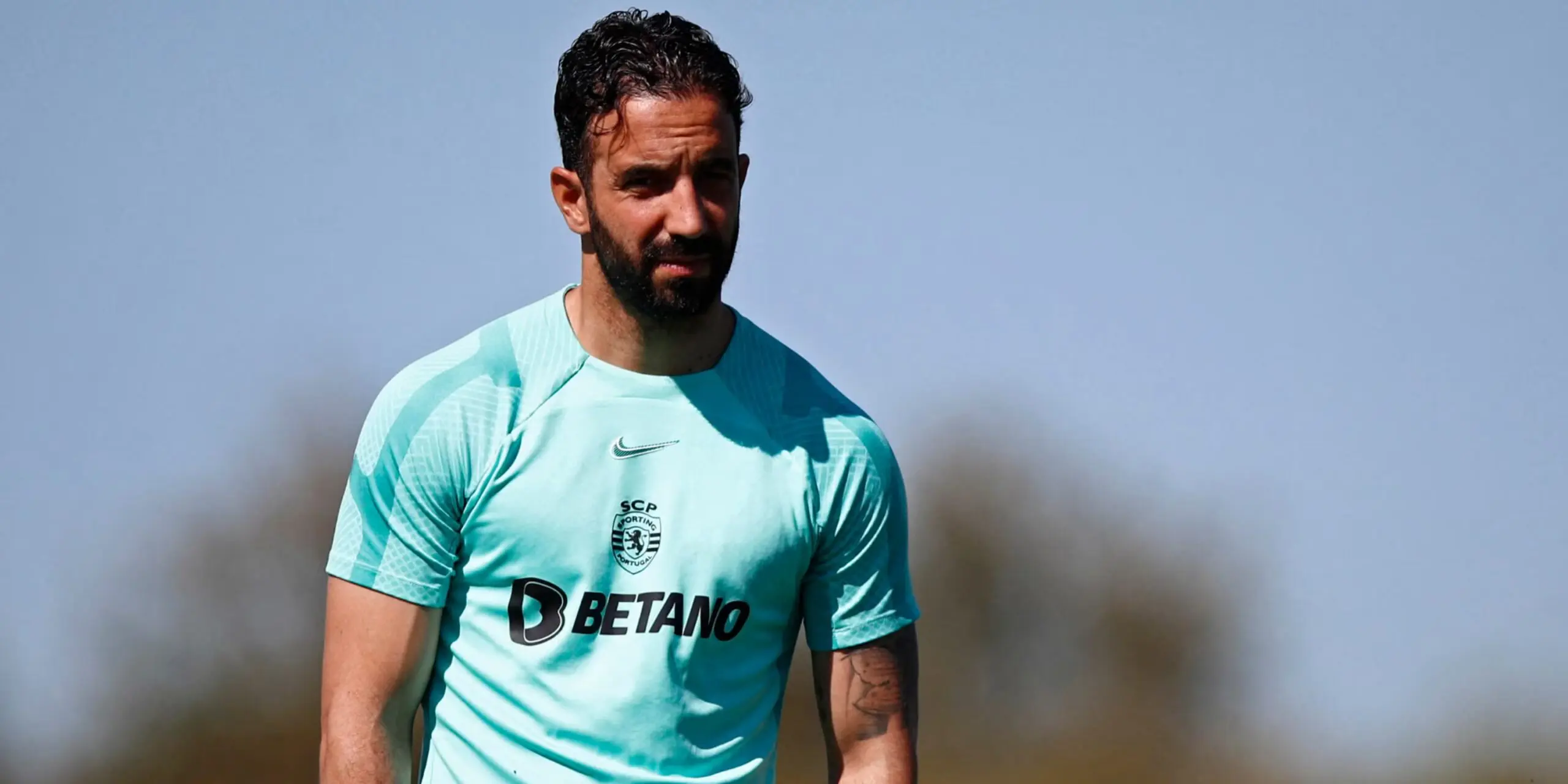 Amorim: Il leader globale nel settore del sughero