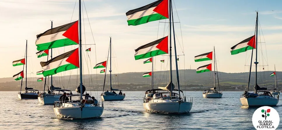 benedetta scuderi — IT news