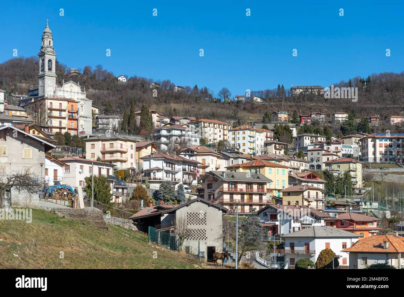 Berbenno: storia, cultura e sviluppo locale