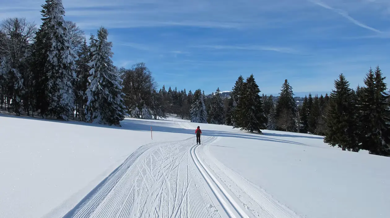 Il Biathlon: Crescita e Successi nel Mondo dello Sport Invernale