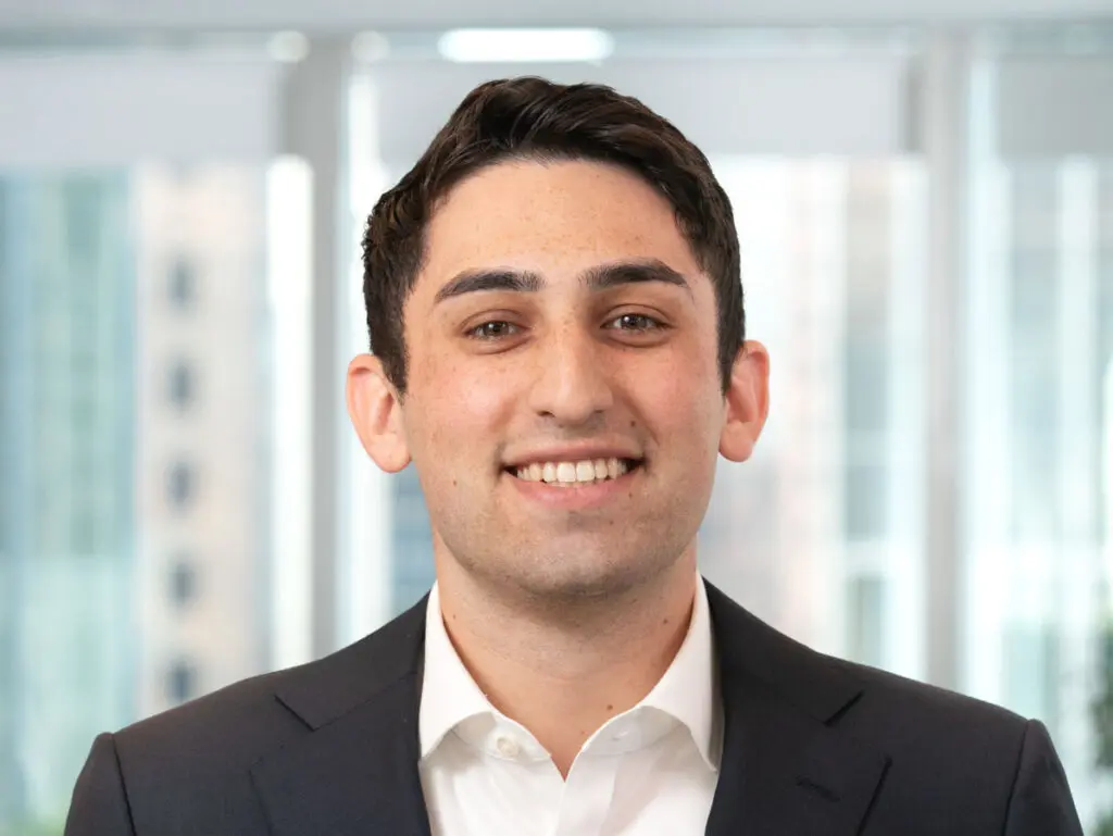 Il Ruolo del Bove nella Cultura e nella Società Contemporanea image 1