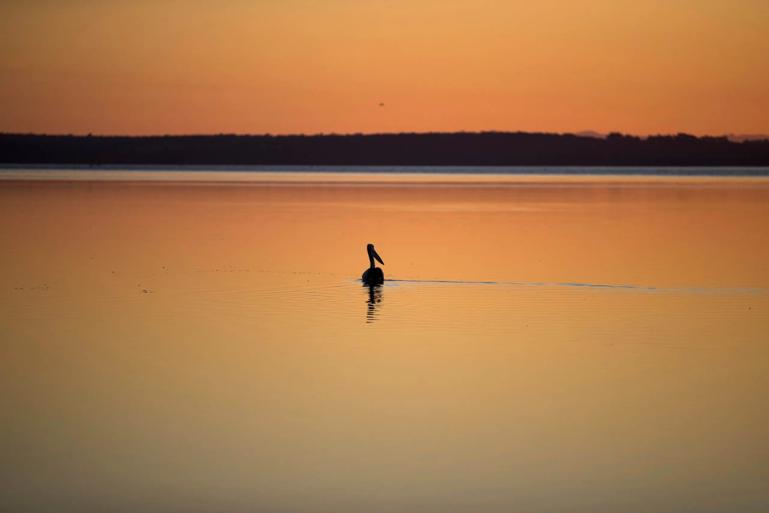 Bremer: Innovazioni nella Navigazione Sostenibile