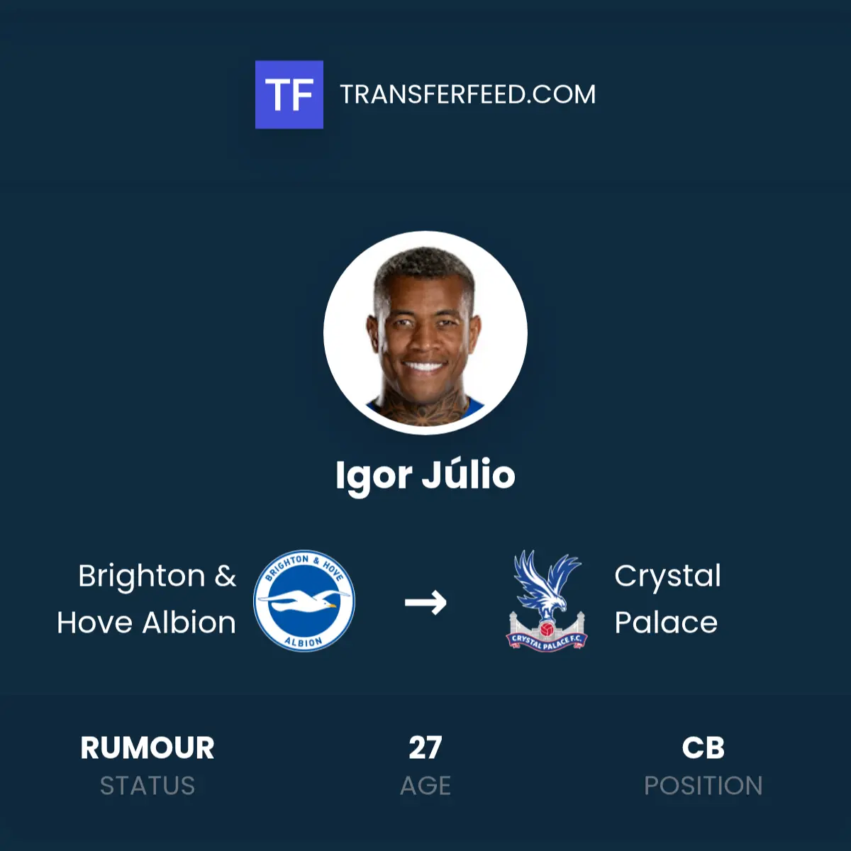 Brighton & Hove Albion e Crystal Palace: La Rivalità del Derby