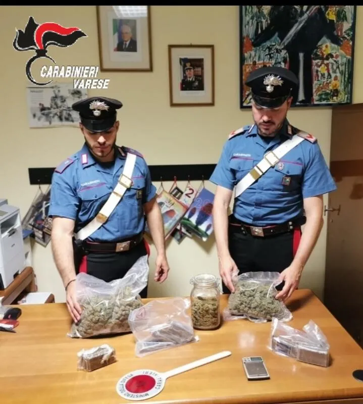 can yaman droga arrestato — IT news