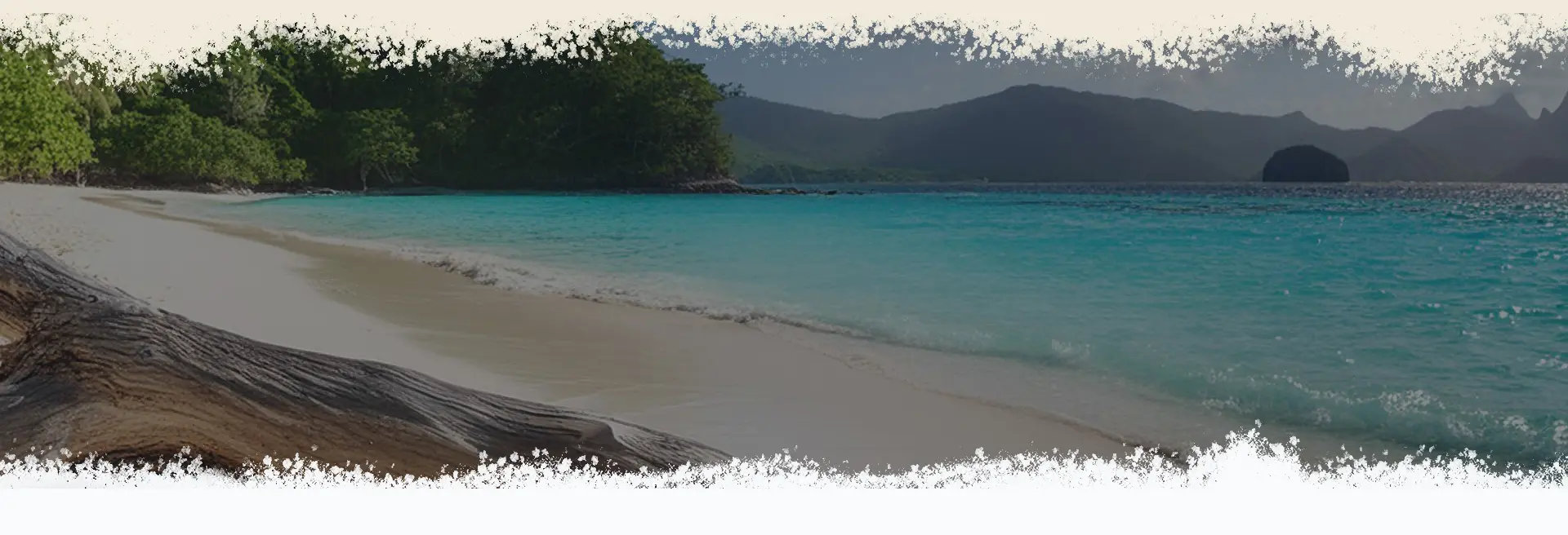 Il Fenomeno dei Castaway: Avventure e Riflessioni