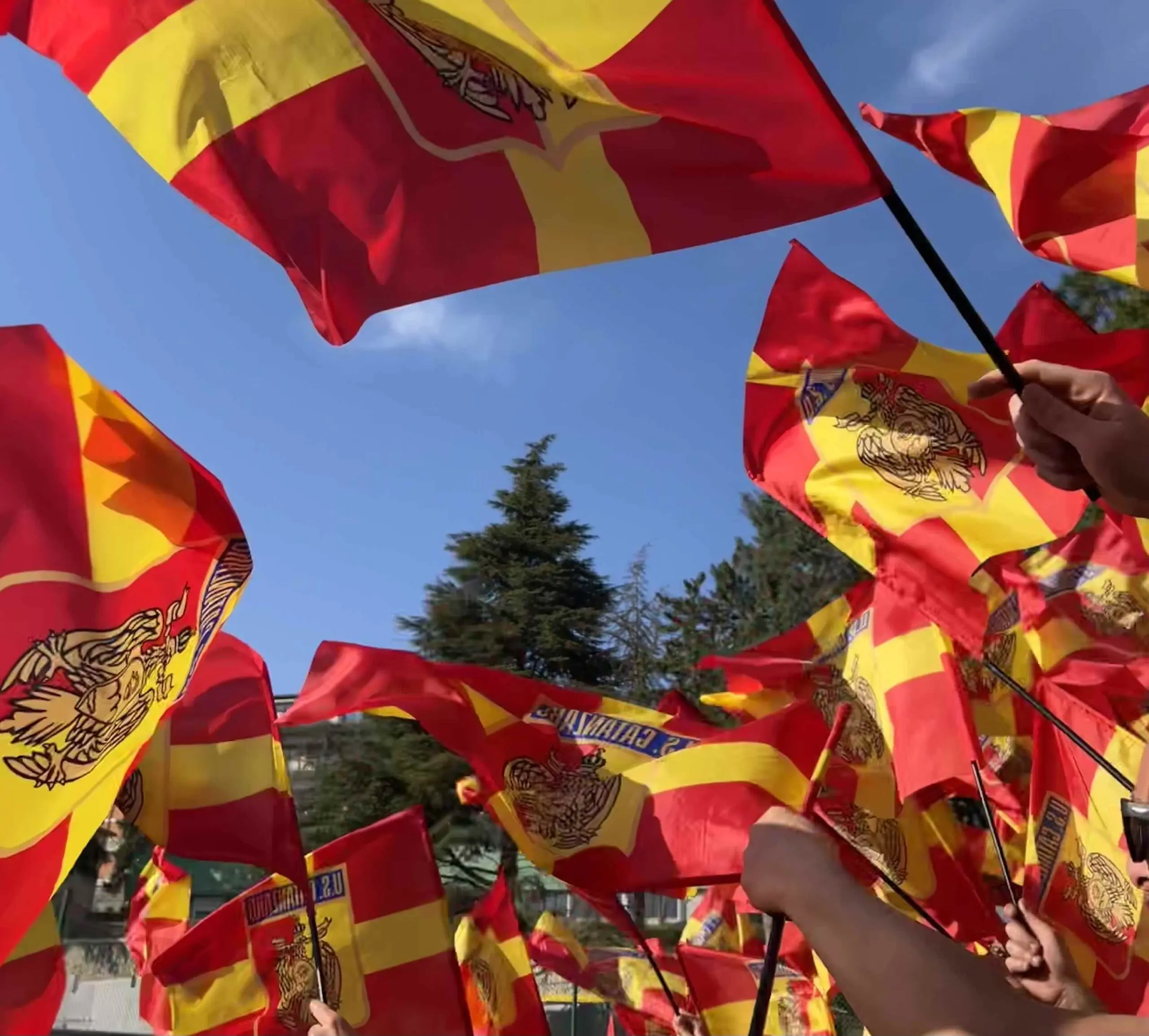 Catanzaro – Reggiana: Un Incontro Cruciale per la Stagione