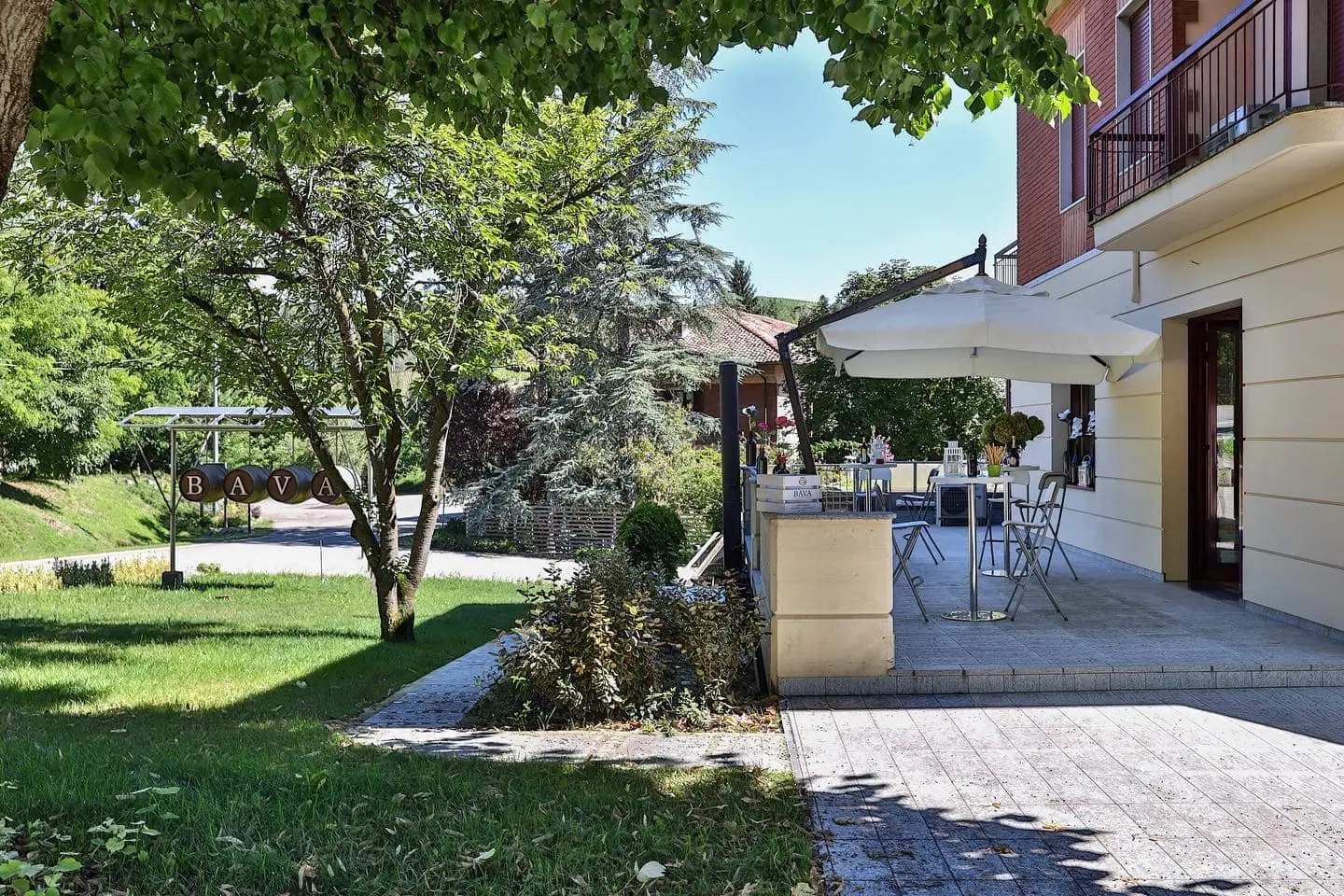 Cocchi: Tradizione e Innovazione nel Vino Italiano