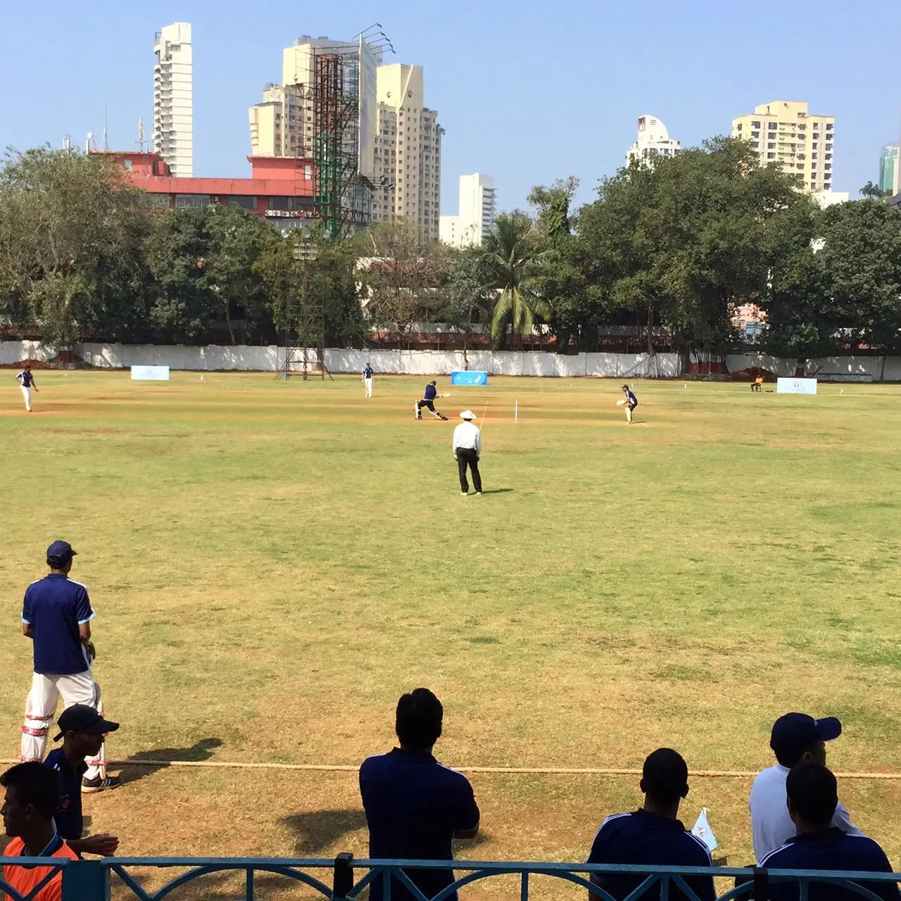 Il Fascino e le Novità del Cricket nel Mondo Moderno image 1