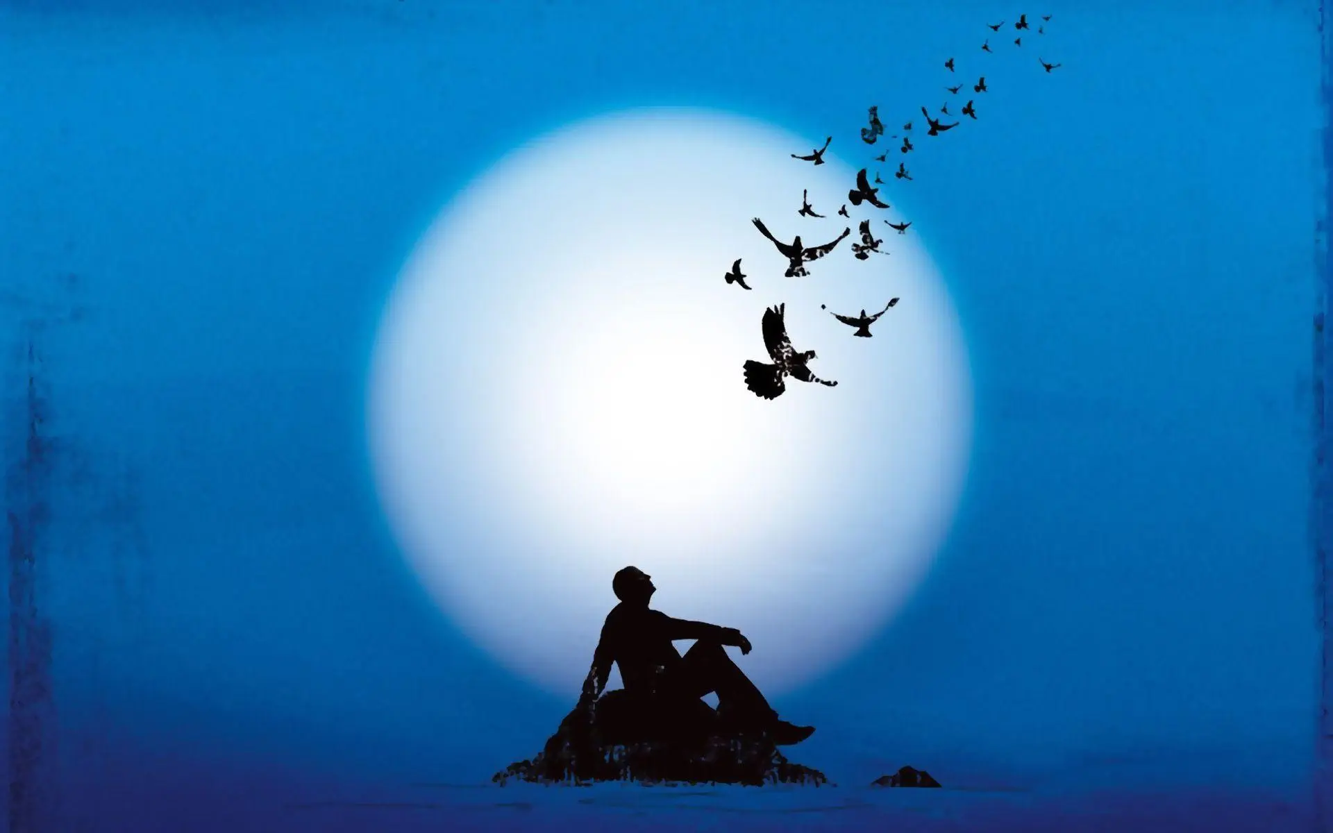 La Vita e la Carriera di David Gilmour image 1