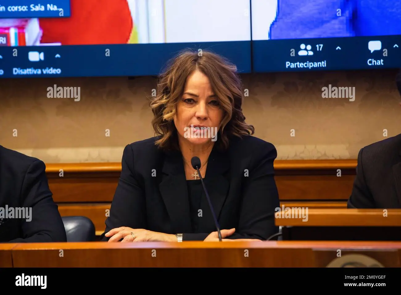 Il Ruolo di Elisabetta Gardini nella Politica Italiana image 1