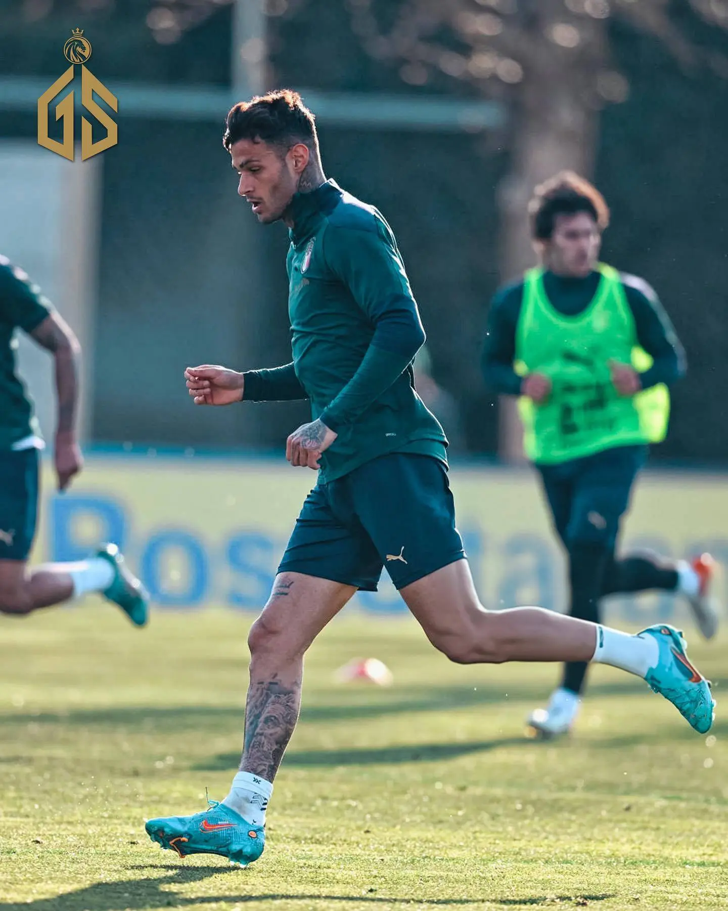 Gianluca Scamacca: Talento e futuro del calcio italiano