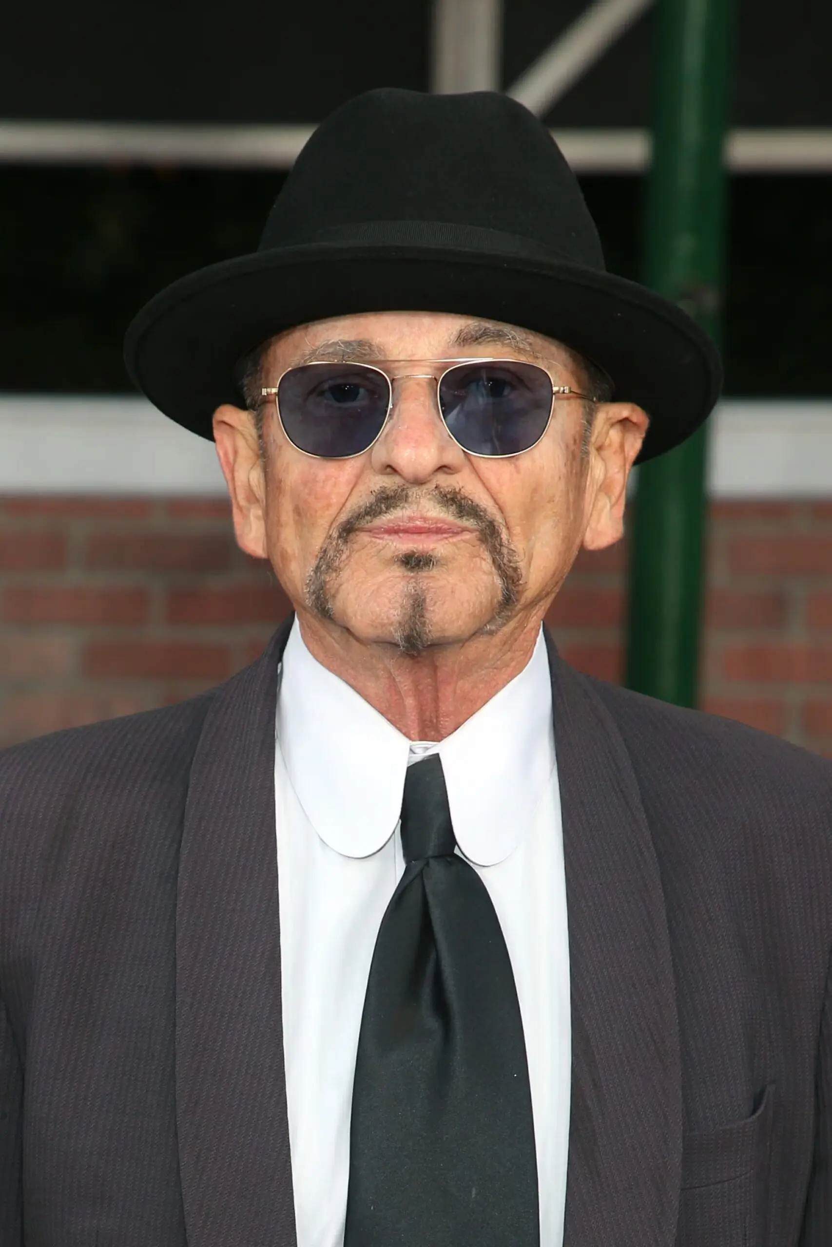 Joe Pesci: La Carriera di un Grande Attore