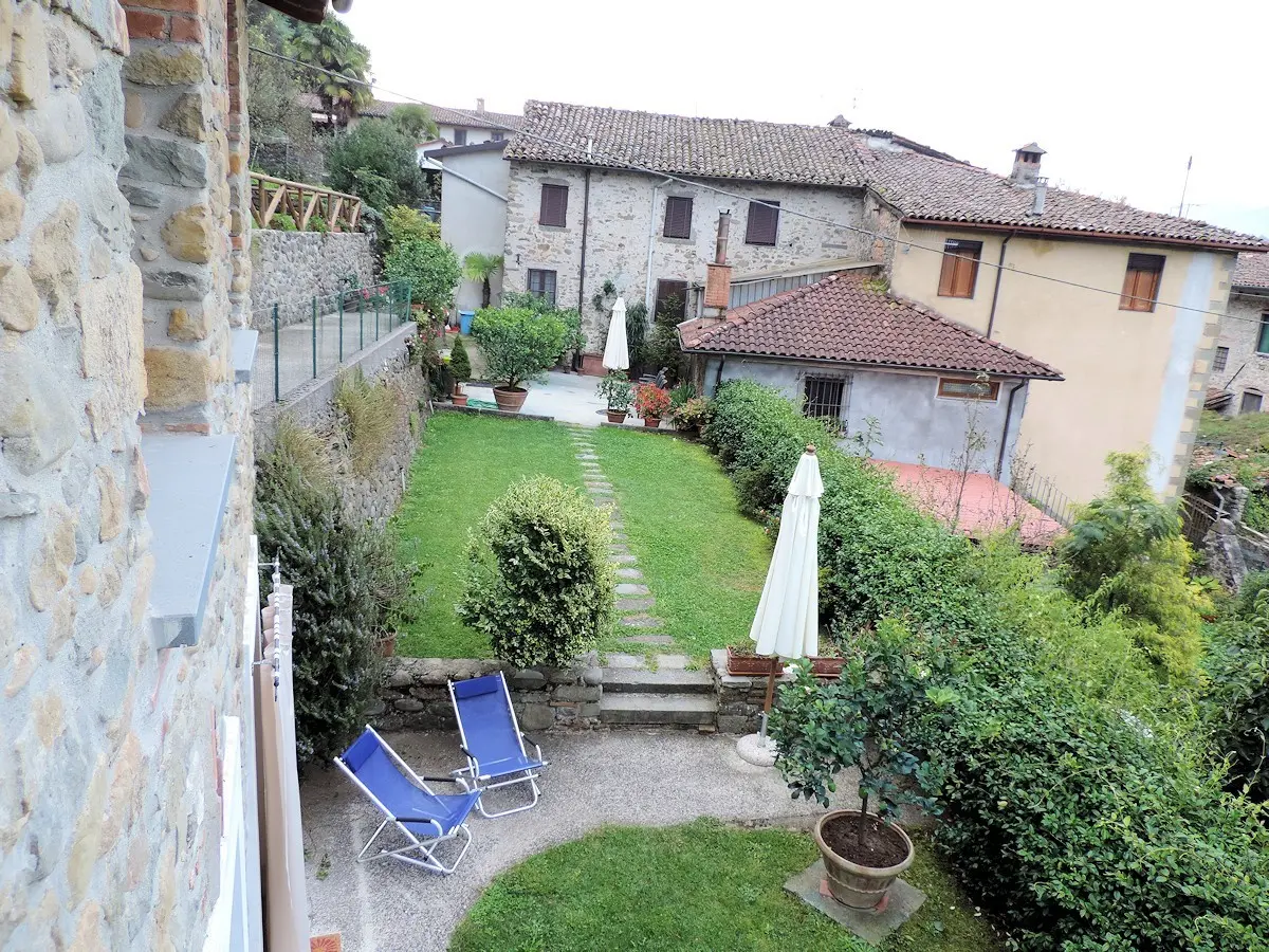I Benefici e gli Usi del Limone nella Vita Quotidiana image 1