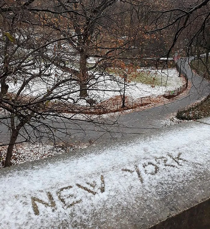 meteo new york — IT news