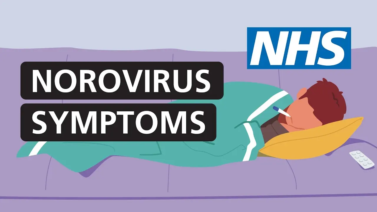 Tutto Quello che Devi Sapere sul Norovirus image 1