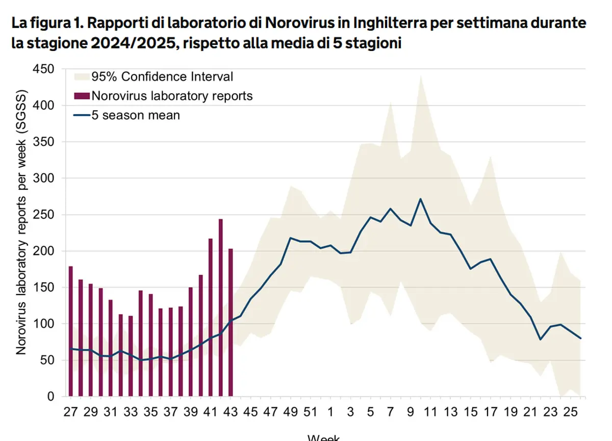 Cos’è il Norovirus e come si diffonde