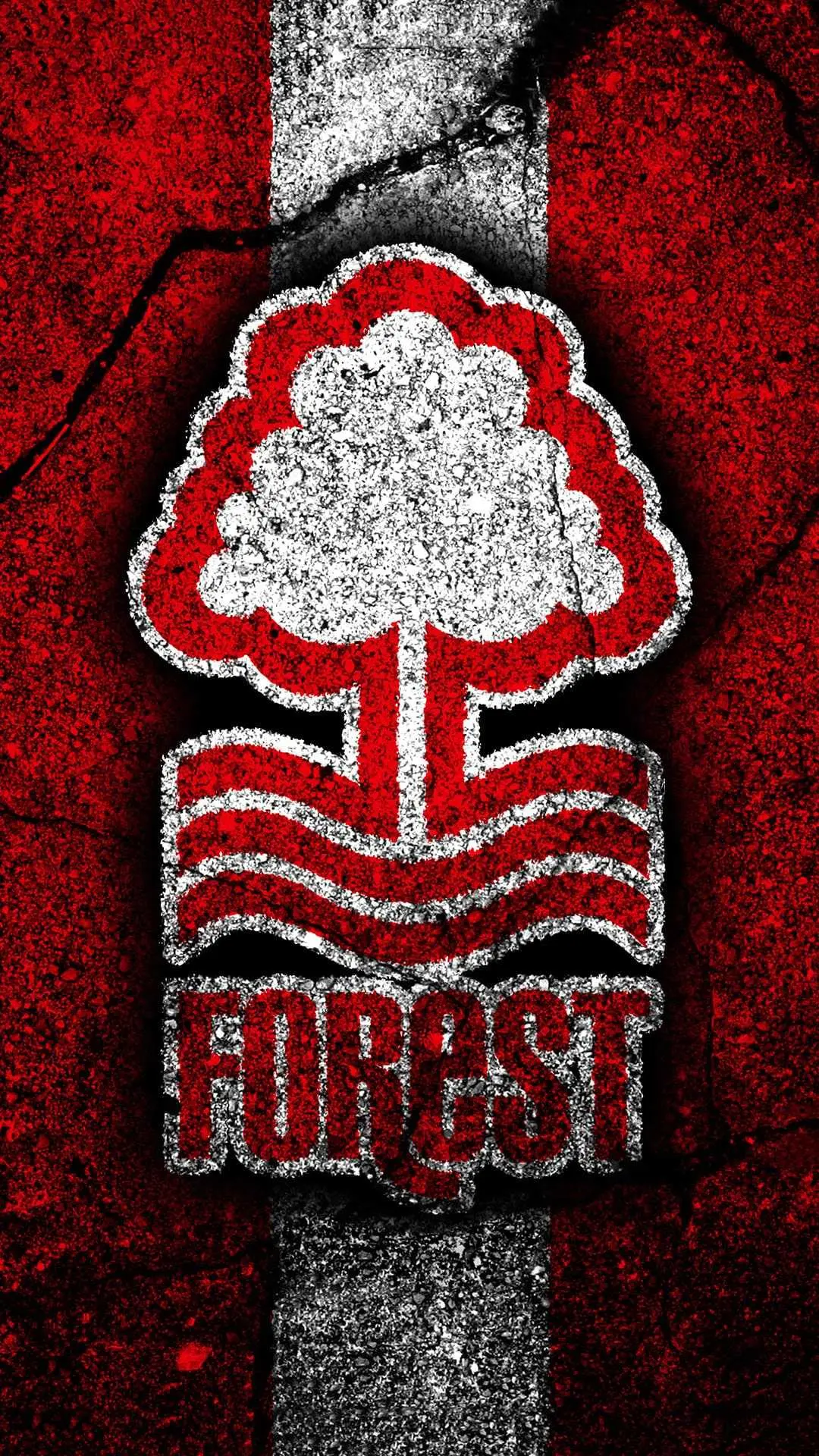 Nottingham Forest: Dalla Tradizione ai Nuovi Inizi