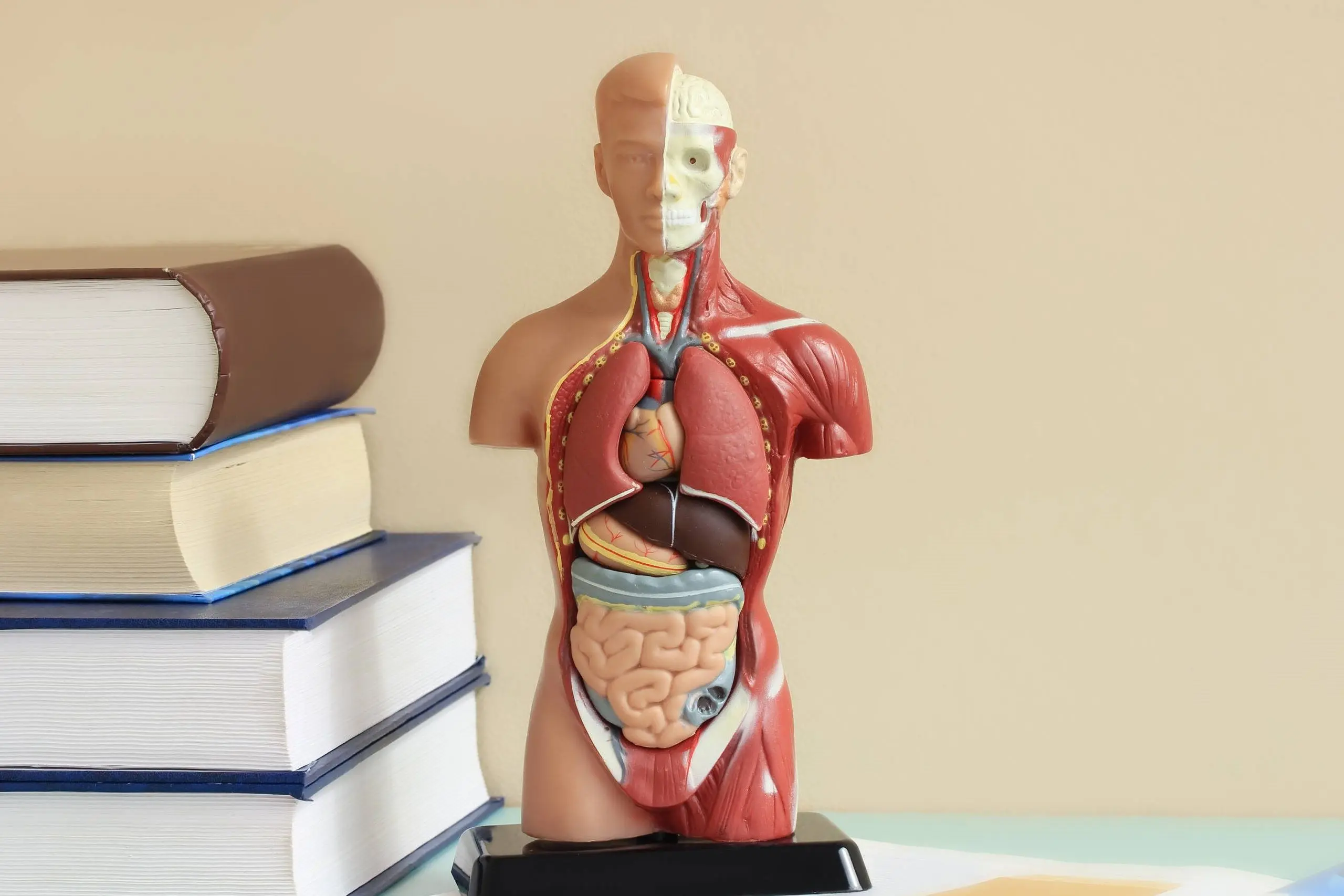 L’importanza di vivere nel presente: il ‘now’