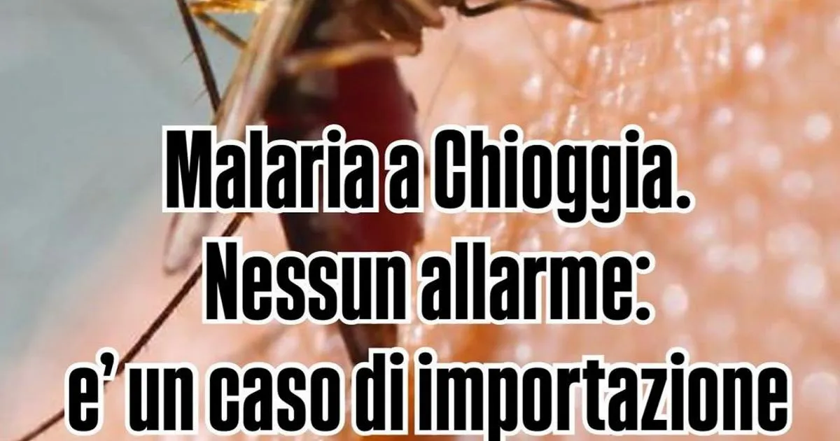 padova bambina malaria — IT news