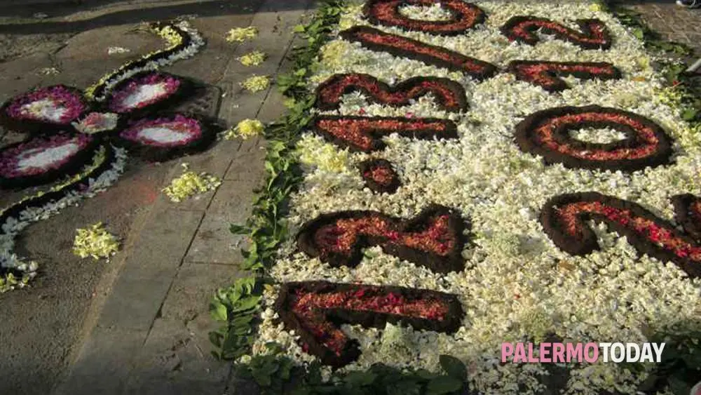 Notizie in Evidenza su PalermoToday image 1