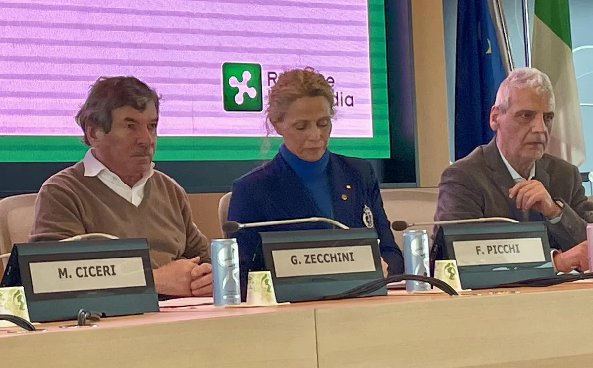 ponte di legno — IT news