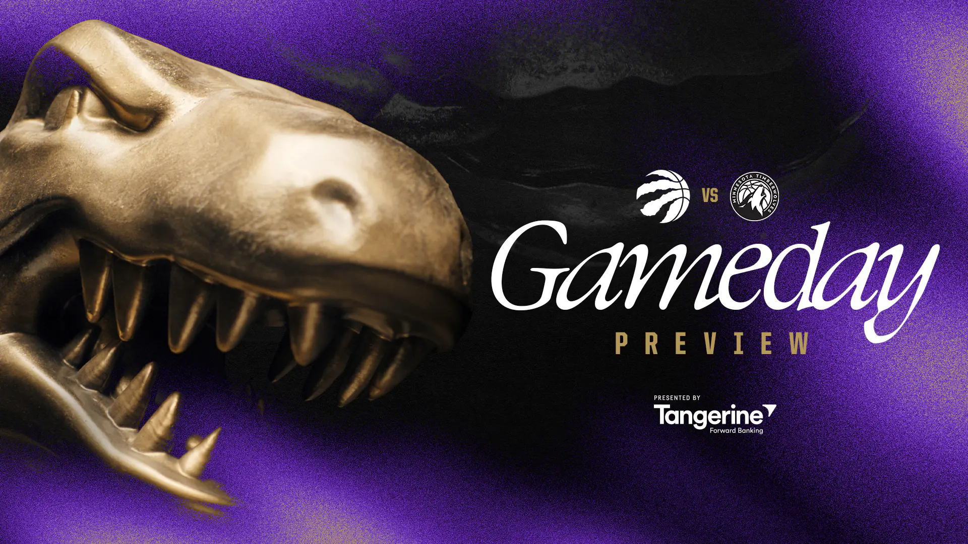 Raptors contro Timberwolves: Un Mondo di Possibilità