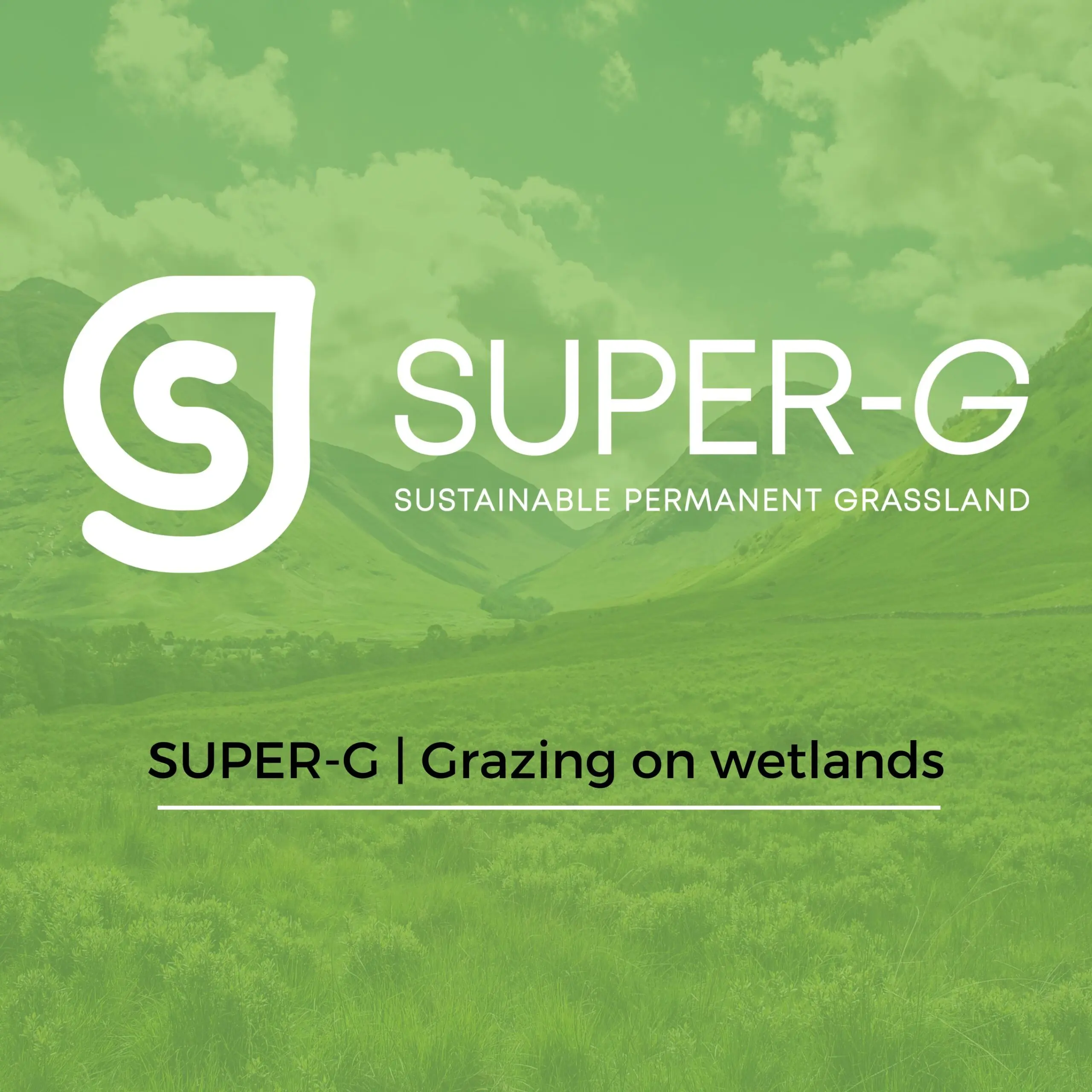 Super G: Un’analisi sul cambiamento nel sci alpino
