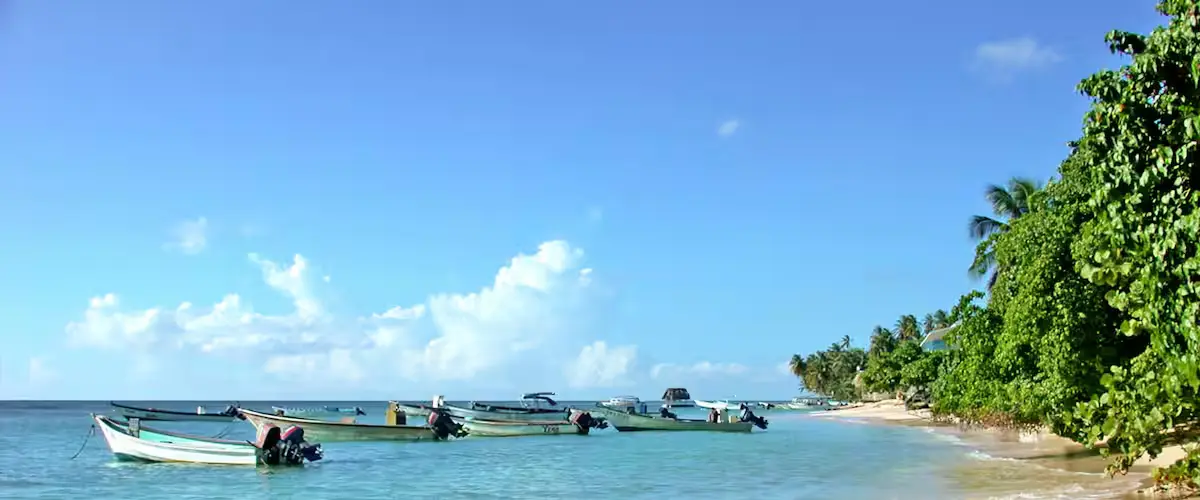Esplorando Trinidad: Cultura e Eventi Recenti