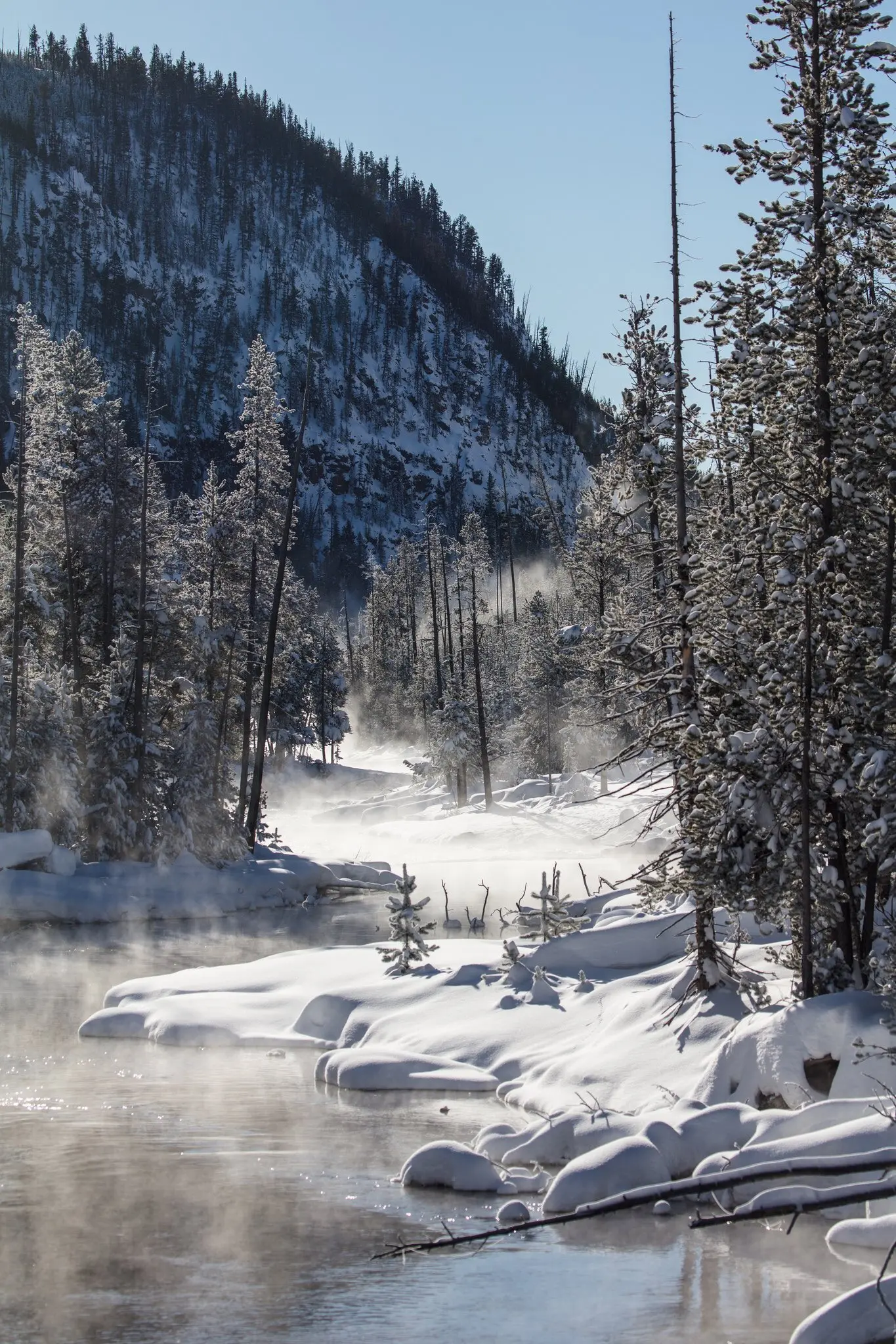 La Relevanza di Yellowstone nel Contesto Ambientale Attuale image 1