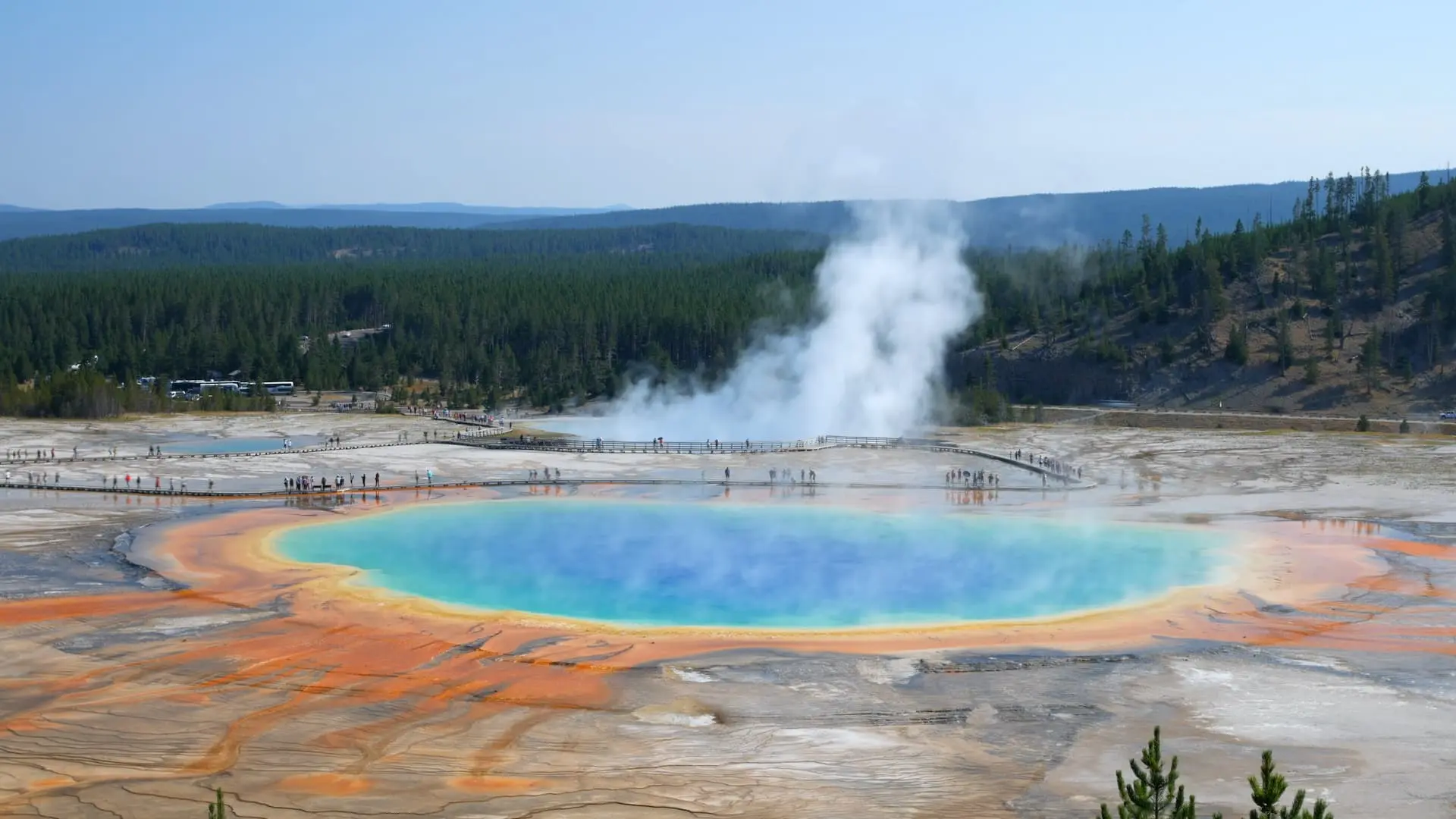 L’importanza del Parco Nazionale Yellowstone
