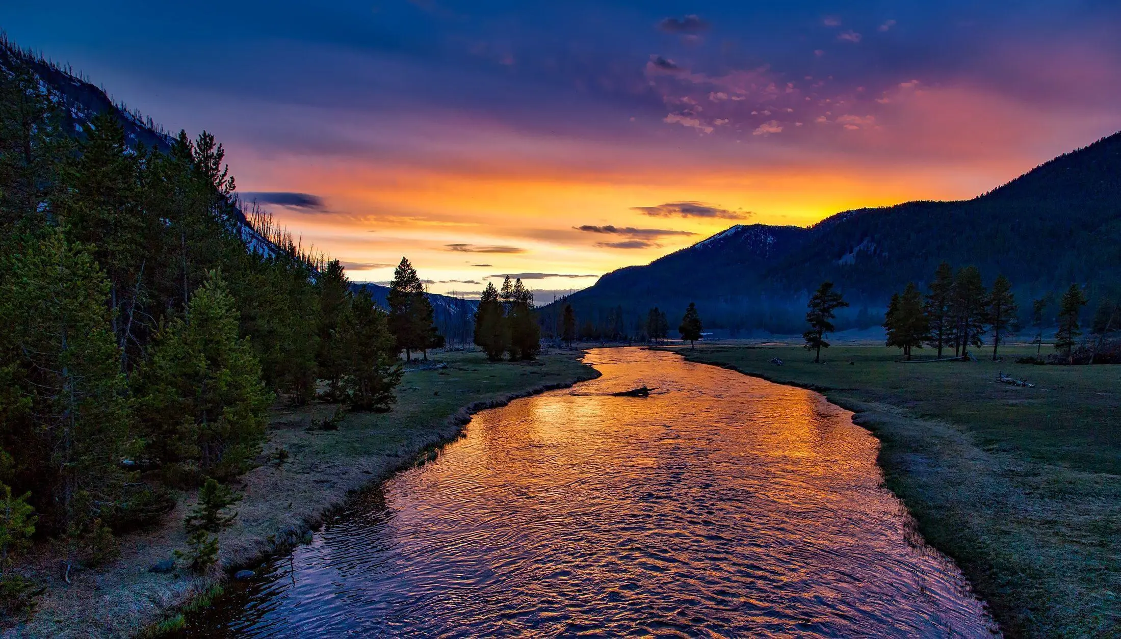 Esplorando il Parco Nazionale Yellowstone image 1