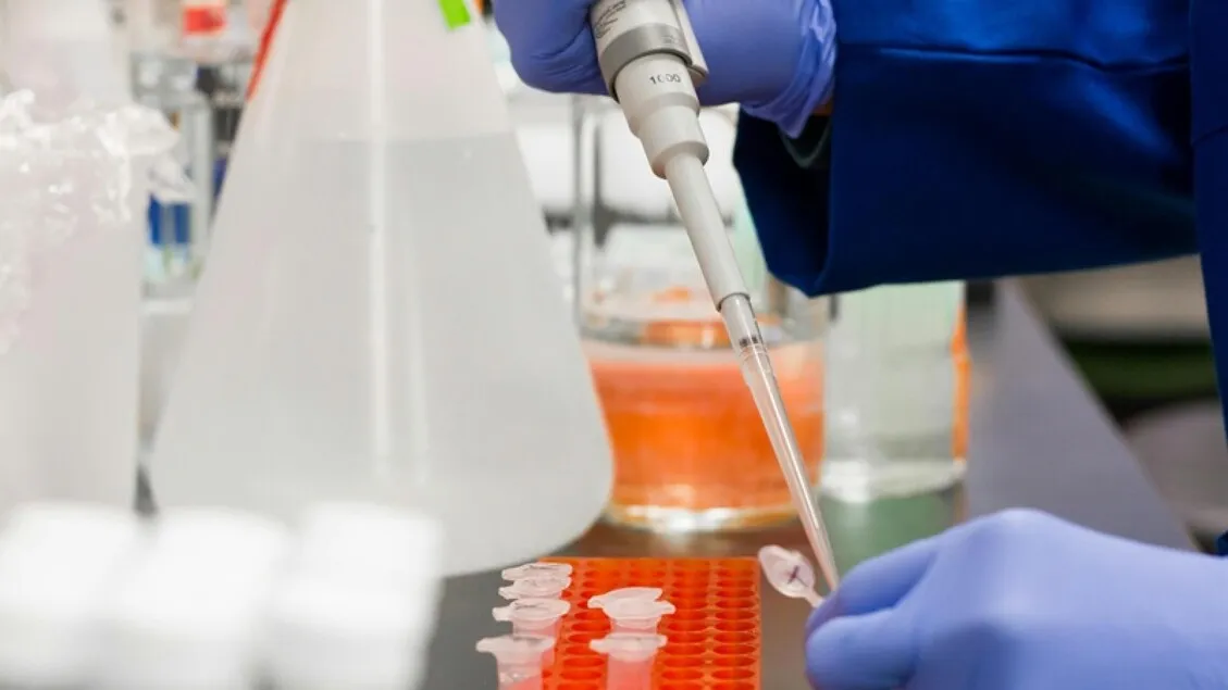 allarme meningite inghilterra — IT news