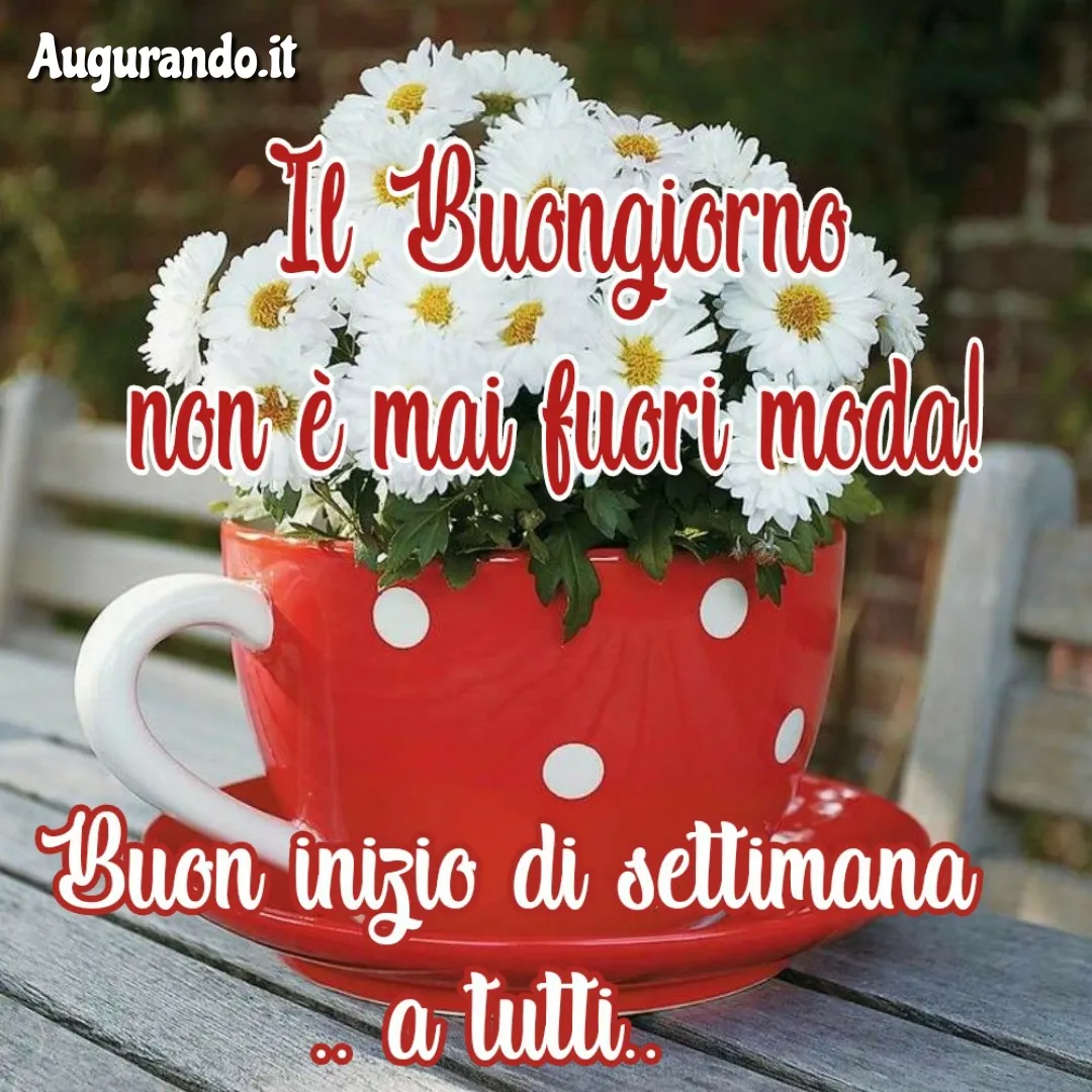 buon lunedi 16 marzo 2026 — IT news