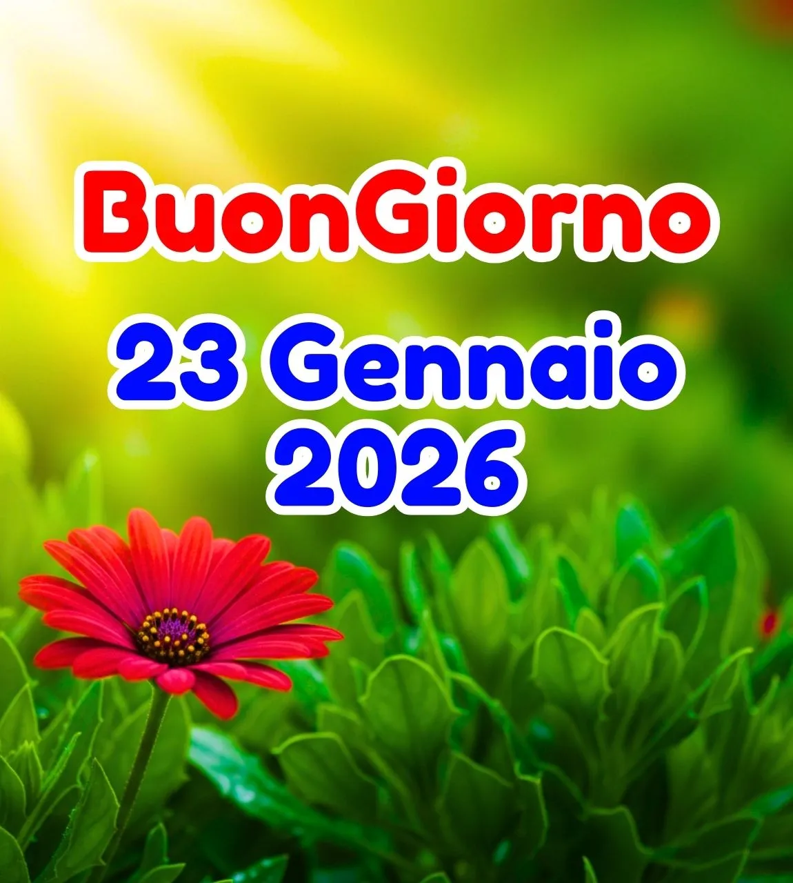 buongiorno venerdì 6 marzo 2026 — IT news