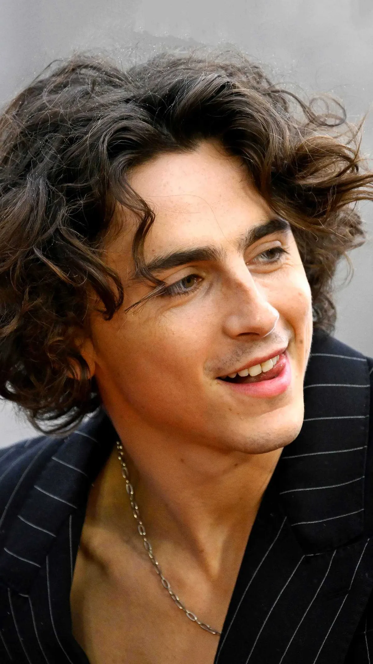 chalamet — IT news